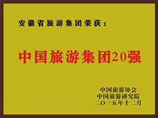 2015年度中国老子有钱lzyq88集团20强