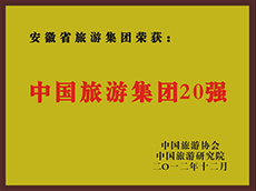 2012年度中国老子有钱lzyq88集团20强