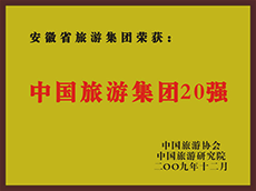 2009年度中国老子有钱lzyq88集团20强