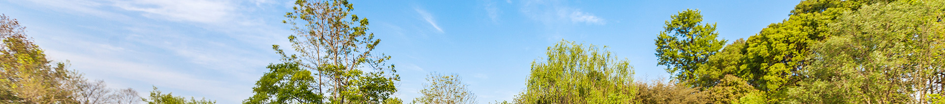 老子有钱lzyq88及地工业 - 主营营业 - 营业板块 - 安徽省老子有钱lzyq88集团