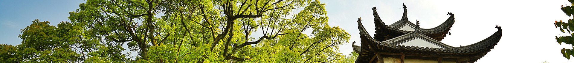 企业公示 - 集团公示通告 - 信息果真 - 安徽省老子有钱lzyq88集团