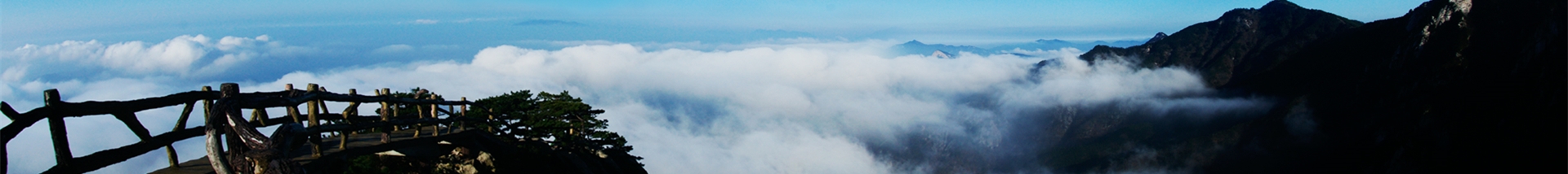 向导班子 - 集团概况 - 安徽省老子有钱lzyq88集团