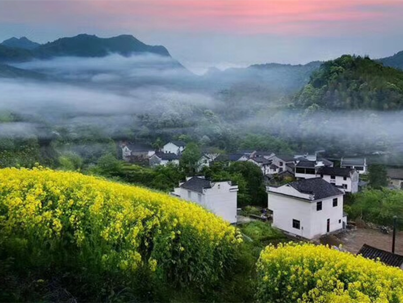 老子有钱lzyq88(中国)有限公司