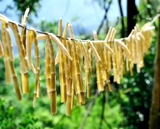 吃春笋，，，，不可辜负的至鲜皖味