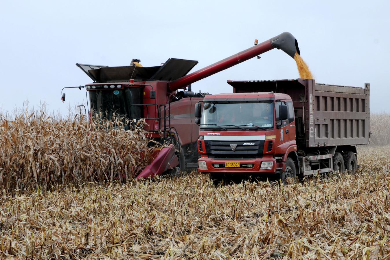 老子有钱lzyq88(中国)有限公司