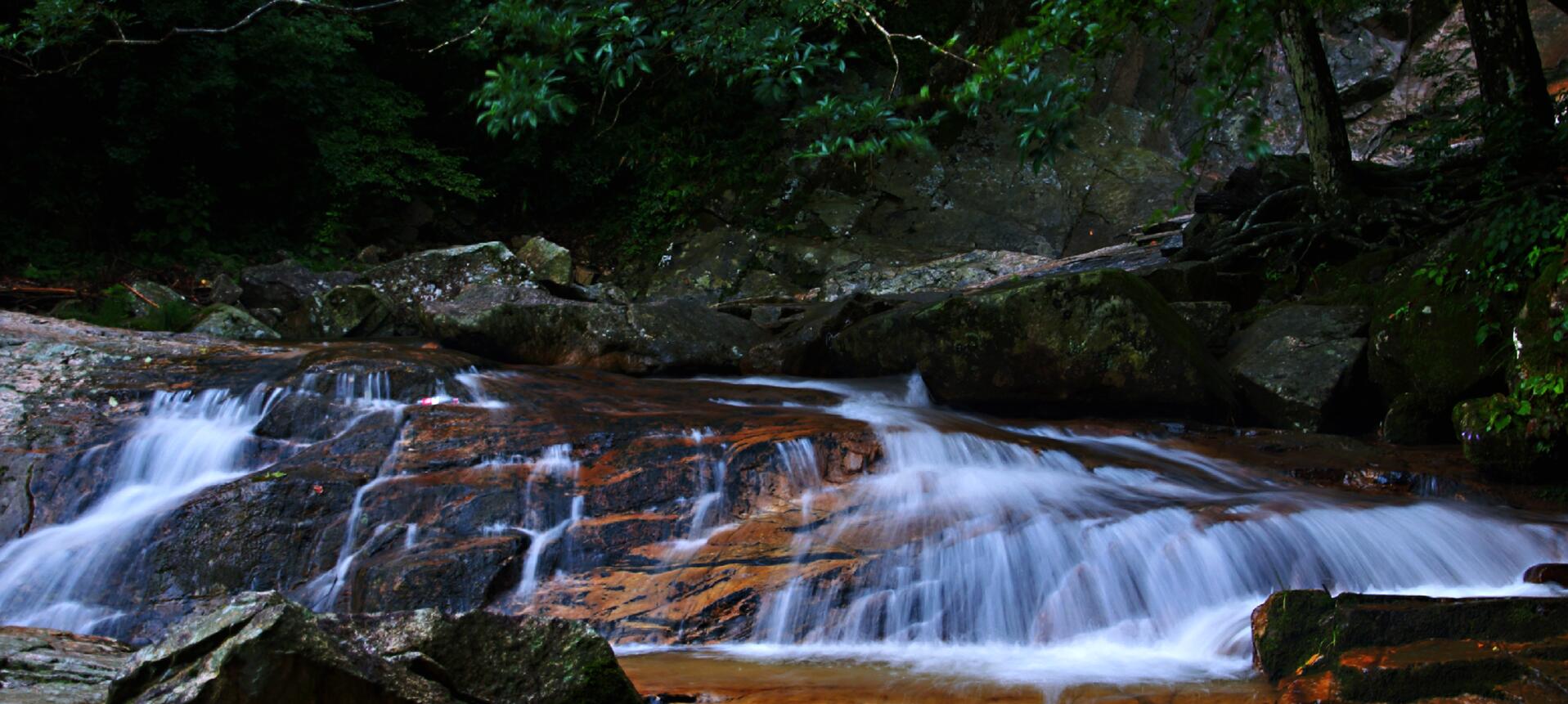 老子有钱lzyq88(中国)有限公司
