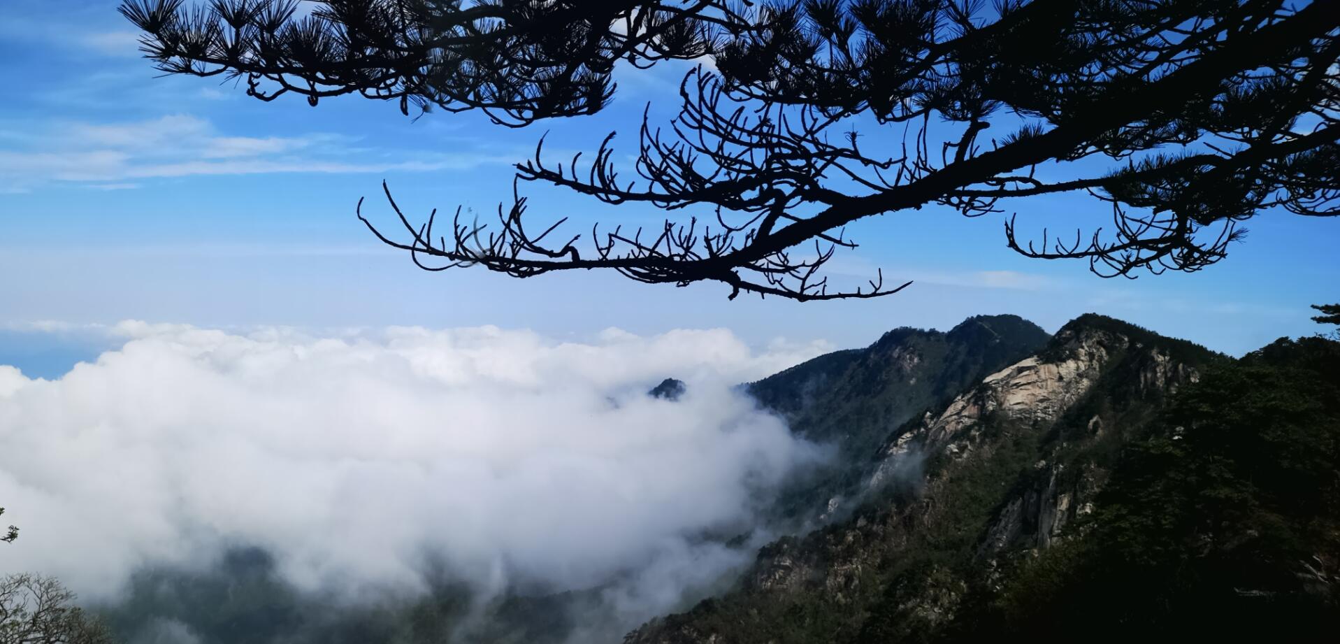 老子有钱lzyq88(中国)有限公司