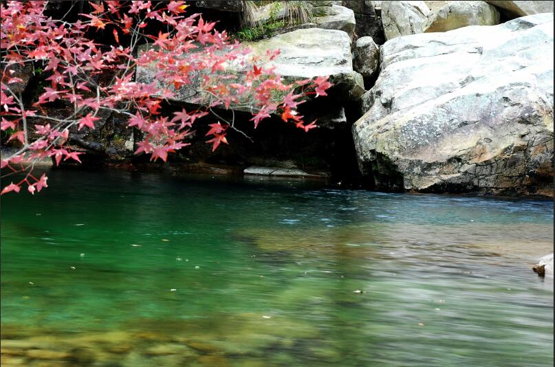 老子有钱lzyq88(中国)有限公司