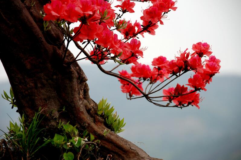 老子有钱lzyq88(中国)有限公司