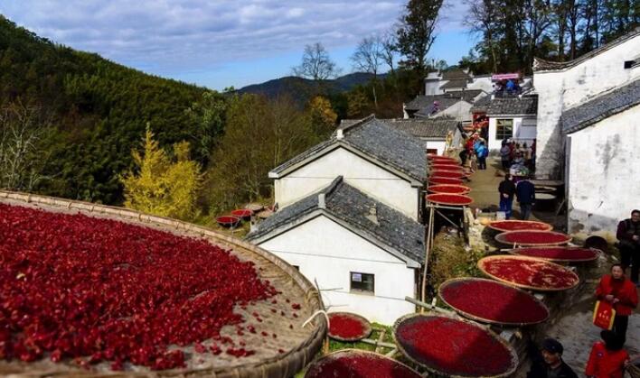 老子有钱lzyq88(中国)有限公司