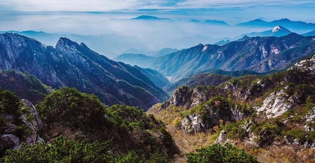 老子有钱lzyq88(中国)有限公司