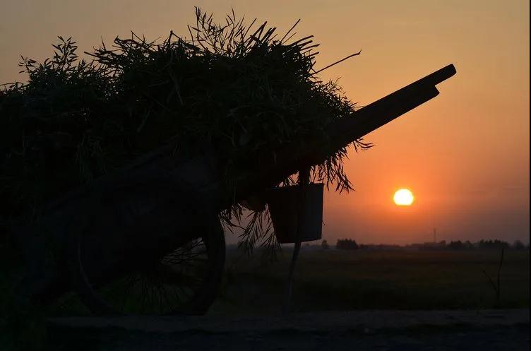 老子有钱lzyq88(中国)有限公司