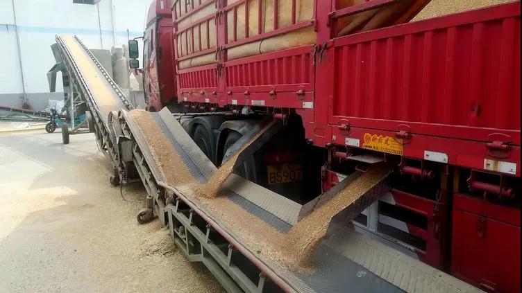 老子有钱lzyq88(中国)有限公司