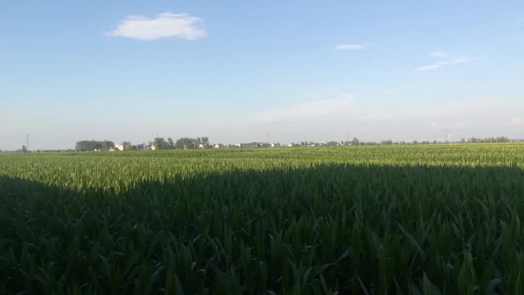 老子有钱lzyq88(中国)有限公司