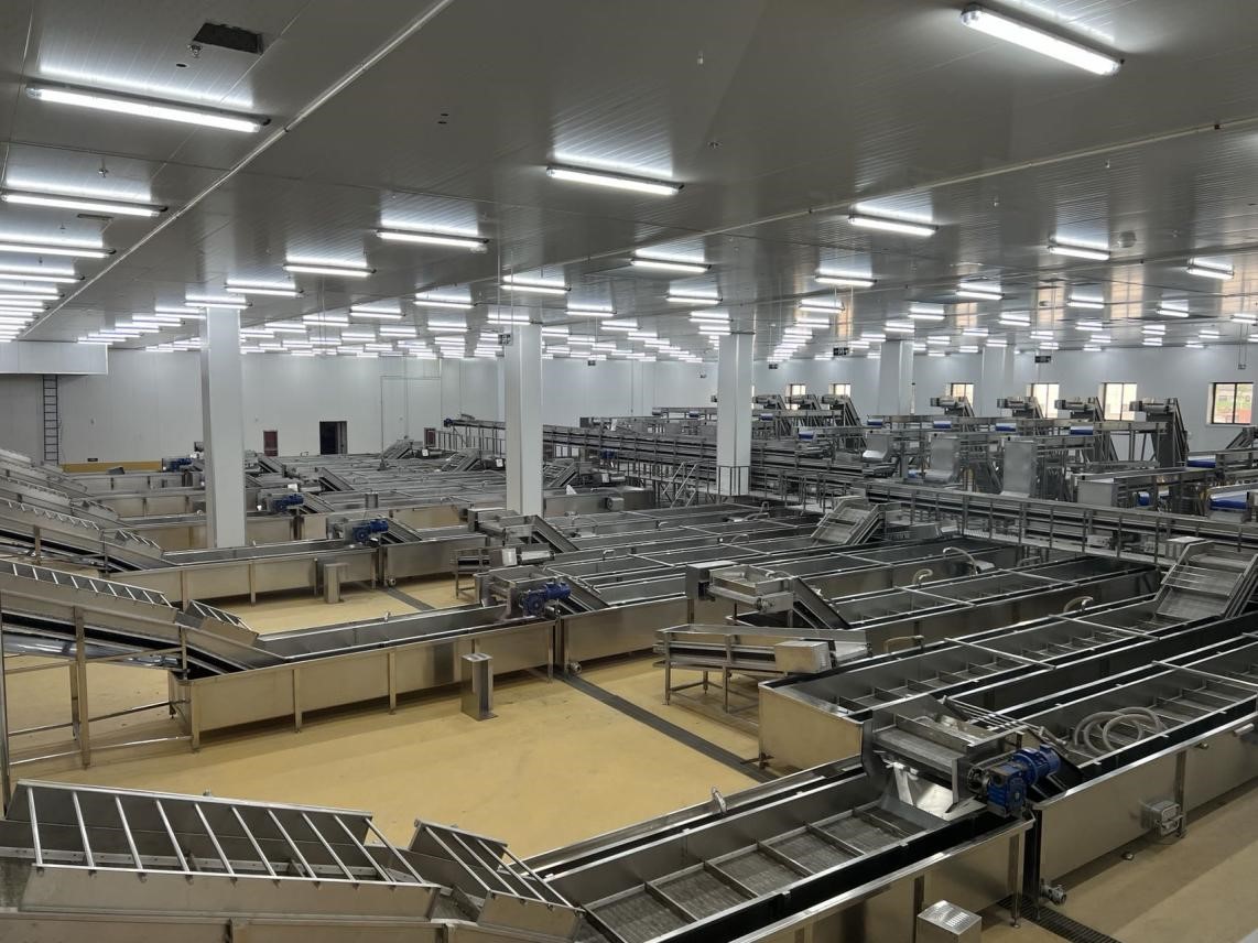 老子有钱lzyq88(中国)有限公司