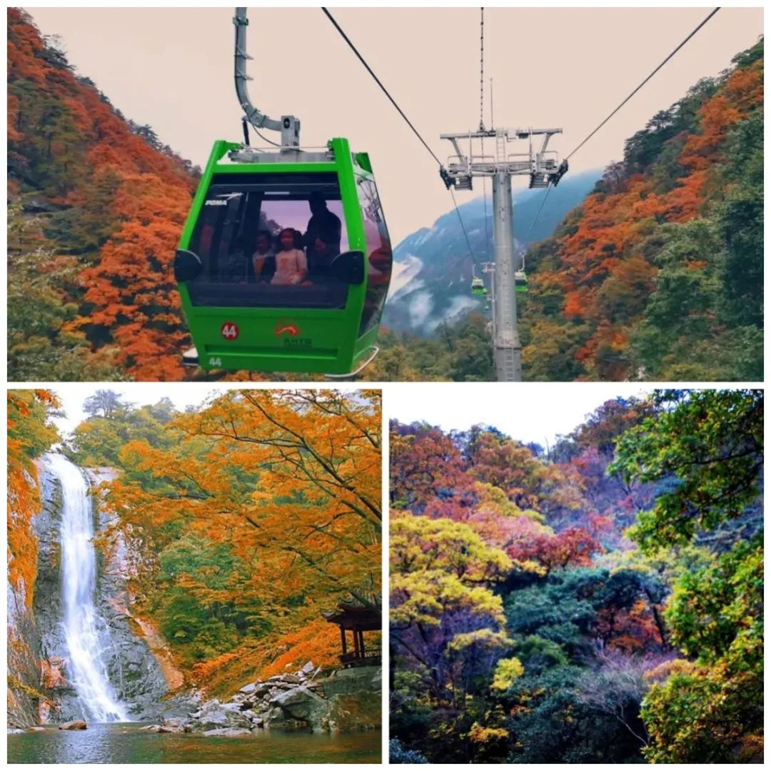 老子有钱lzyq88(中国)有限公司