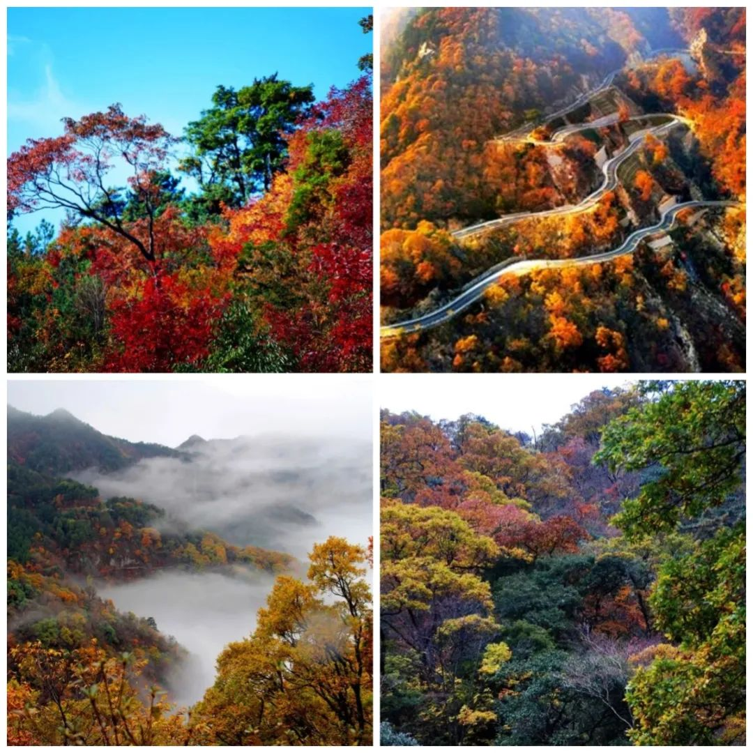 老子有钱lzyq88(中国)有限公司