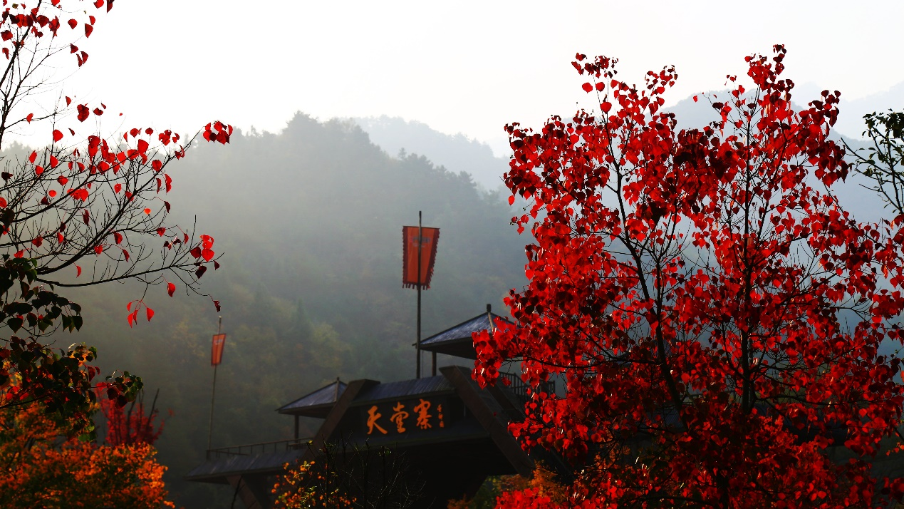 老子有钱lzyq88(中国)有限公司