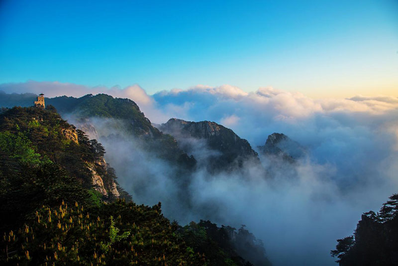 老子有钱lzyq88(中国)有限公司