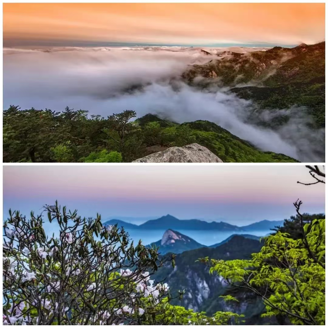 老子有钱lzyq88(中国)有限公司