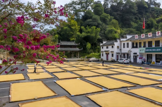 老子有钱lzyq88(中国)有限公司