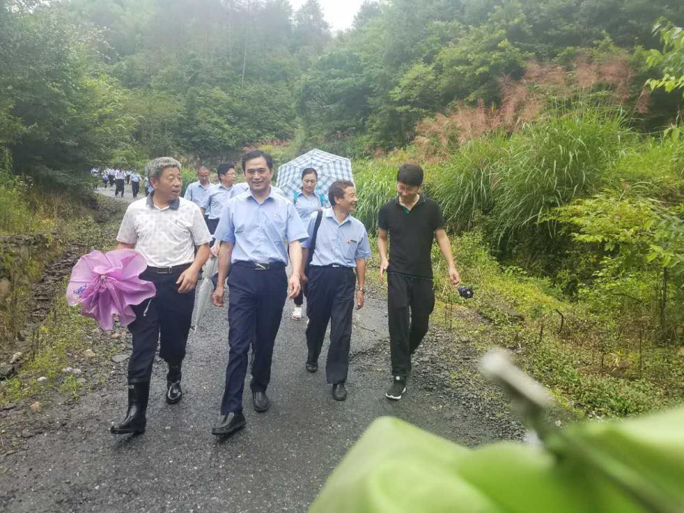 所属企业动态 - 新闻资讯 - 安徽省老子有钱lzyq88集团