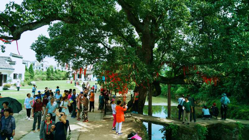 所属企业动态 - 新闻资讯 - 安徽省老子有钱lzyq88集团