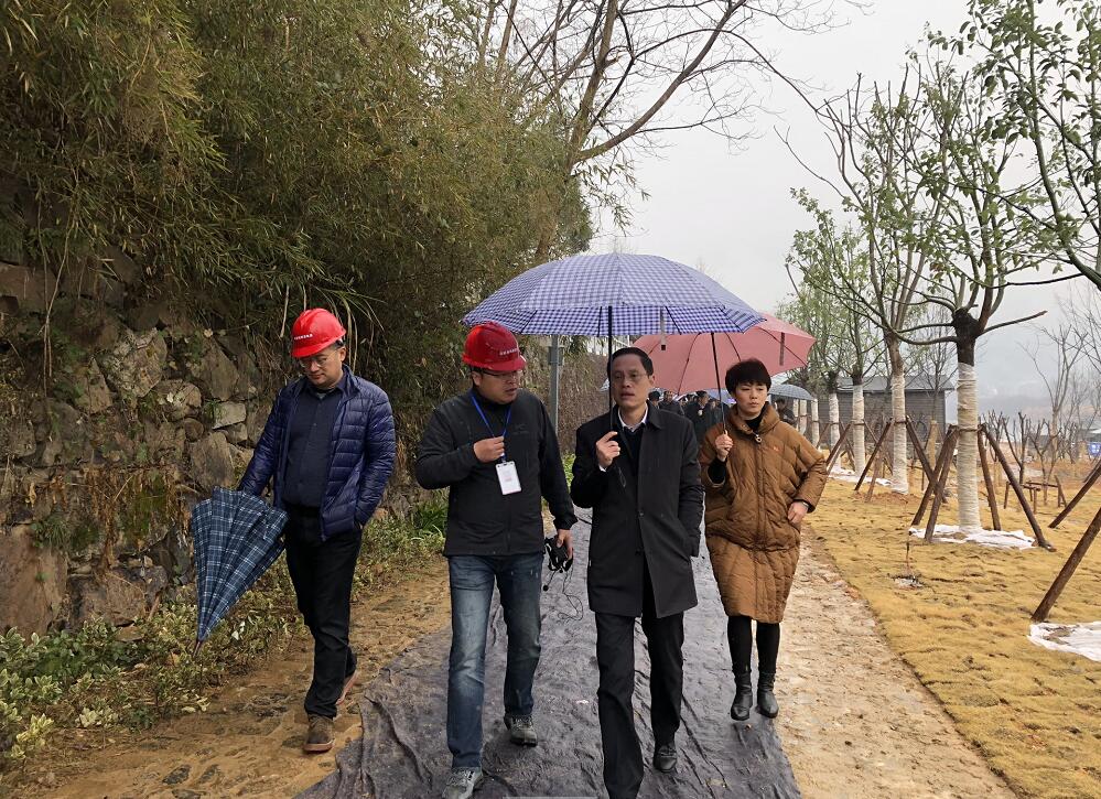 所属企业动态 - 新闻资讯 - 安徽省老子有钱lzyq88集团