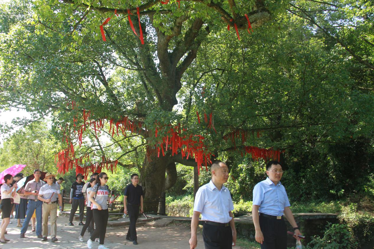 所属企业动态 - 新闻资讯 - 安徽省老子有钱lzyq88集团