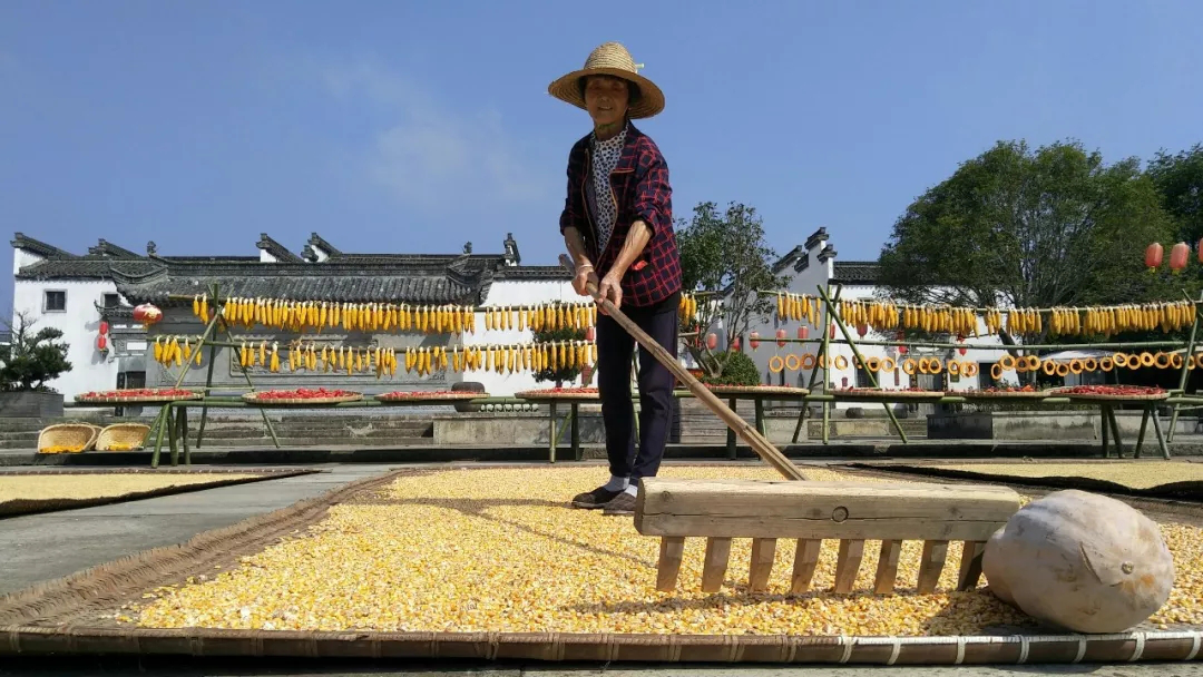 所属企业动态 - 新闻资讯 - 安徽省老子有钱lzyq88集团