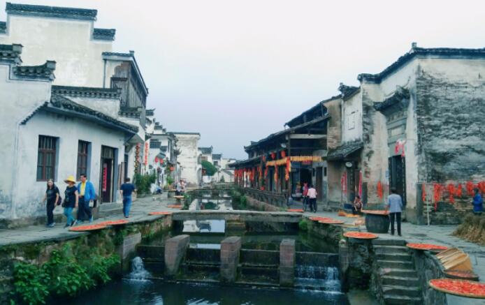 所属企业动态 - 新闻资讯 - 安徽省老子有钱lzyq88集团