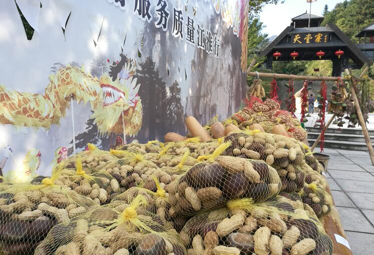 所属企业动态 - 新闻资讯 - 安徽省老子有钱lzyq88集团