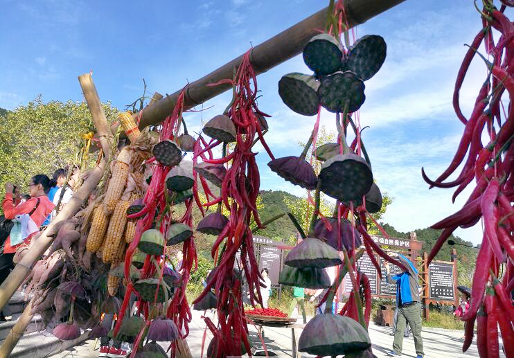 所属企业动态 - 新闻资讯 - 安徽省老子有钱lzyq88集团